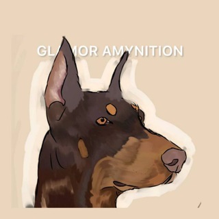 Telegram profile photo for GLAMOR AMYNITION
