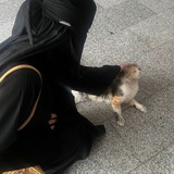 Telegram profile photo for م