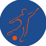 Telegram profile photo for фк «ПЛАТИНА МЕГА»