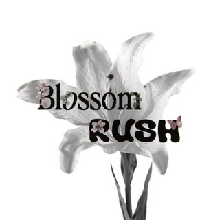 Telegram profile photo for blossom rush