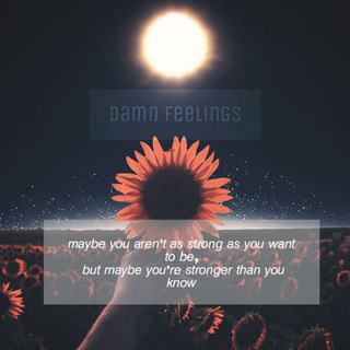 Telegram profile photo for Damn Feelings๐ฅ