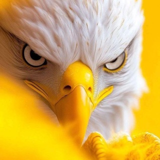 Telegram profile photo for ๐พ๐๐๐ฃ๐๐จ๐โ๐ฝ๐ ๐๐ฃ๐๐ค๐๐ฃ๐ ๐๐๐ง๐๐๐จ ๐พ๐๐๐ฃ๐ฃ๐๐ก