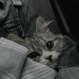 Telegram profile photo for Soul Notes...