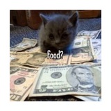 Telegram profile photo for поддержать шардикса