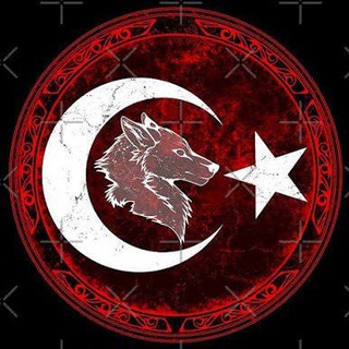 Telegram profile photo for اهنگ ترکیه ای و آذری🇮🇷