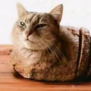 Telegram profile photo for КРПМНБ