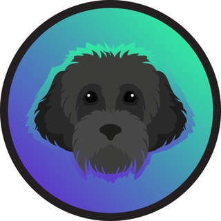 Telegram group profile photo for MYRO | The Solana Founders Dog 🐕🦺