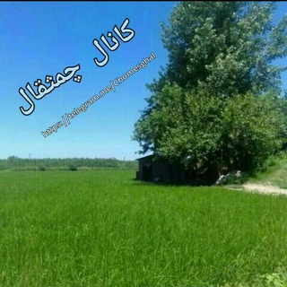 Telegram profile photo for چمثقال