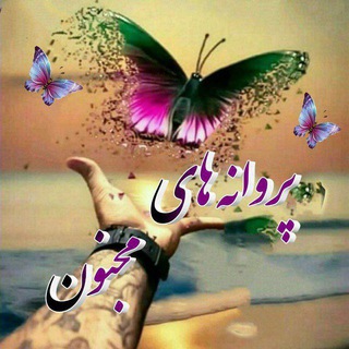 Telegram profile photo for 🧚✨پروانہ هاے مجنون✨🧚