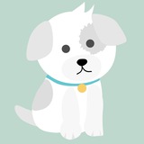 Telegram profile photo for 🙀 Ofertas para Mascotas: Transporte, alimentación, juguetes