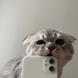 Telegram profile photo for something for u | цитаты