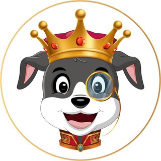 Telegram profile photo for Collie Inu: Portal