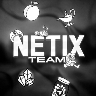 Telegram profile photo for Netix ◟گروه خدمات مجازی