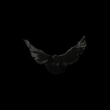 Telegram profile photo for JERËM¥ DÏAS