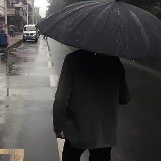 Telegram profile photo for 风止信誉频道