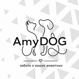 Telegram profile photo for AmyDOG