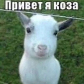 Telegram profile photo for Пост Пост