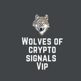 Telegram profile photo for Wolves of Crypto signals vip prova