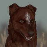 Telegram profile photo for ветка𓅪
