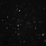 Telegram profile photo for `` BLACKROCK AU❄️🫧