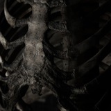 Telegram profile photo for — 𝔯𝐨𝗍𝗍𝐢𝐧𝐠 𝔦ⲛ𝔣ⲟ::