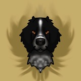 Telegram profile photo for Bonya