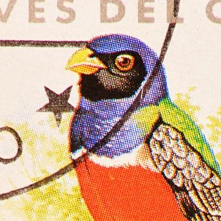 Telegram profile photo for Guantanamera