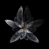Telegram profile photo for магазин атрибутики SLAVICA