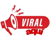 Telegram profile photo for Aplicaciónes premium