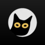 Telegram profile photo for Miles Scammers 💮