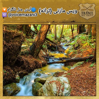 Telegram profile photo for ویس مازنی{ترانه}️