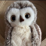 Telegram profile photo for ?