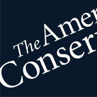 Telegram profile photo for The American Conservative