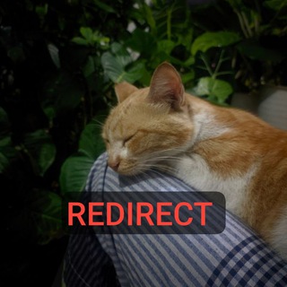 Telegram profile photo for Azmunaa's Home Official Redirect