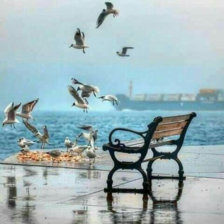 Telegram profile photo for أنا هنا💝