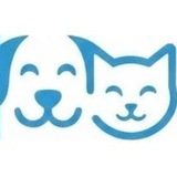 Telegram profile photo for Vídeos de Animales