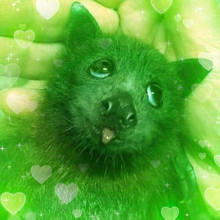 Telegram profile photo for 🦇🇺🇦Snivel's Humble Abode • Tazostan🏳️🌈🦇