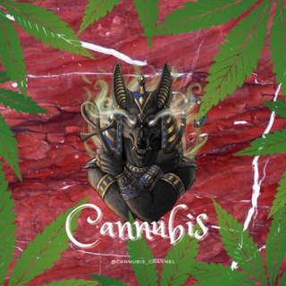 Telegram profile photo for @Cannubis420