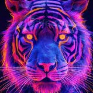 Telegram profile photo for πβββπ§ π¦ π© πΈ π π¦ πποΈββββ