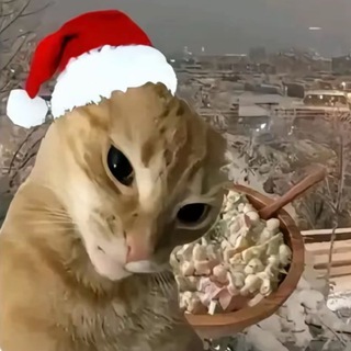 Telegram profile photo for Кадры собак