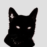 Telegram profile photo for ⬤⬤⬤⬤⬤