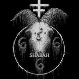 Telegram profile photo for Shabah666