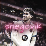 Telegram profile photo for SNEGOVIK clips