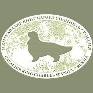 Telegram profile photo for НКП ККЧС