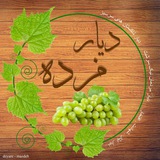 Telegram profile photo for 🌛💙"دیارمَزدهِ"❤🌜