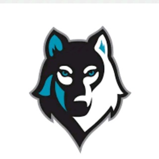 Telegram profile photo for Jorge Padilla