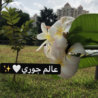Telegram profile photo for عالم_جوري♥️