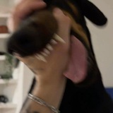Telegram profile photo for Archive