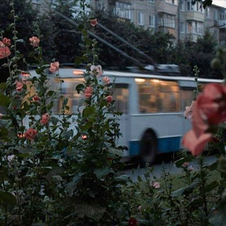 Telegram profile photo for ностальгія