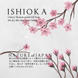 Telegram profile photo for Ishioka's Museum.